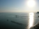 DSCN6453.JPG