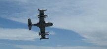 A-37 belly.JPG