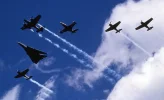 Cat flight.webp