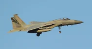 F-15C 144FW ANG.webp