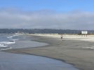 IMG_3305.jpeg