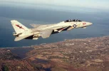 F-14A_VF-194.webp