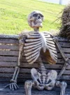Waiting-Skeleton.webp