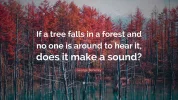 Quotefancy-6375646-3840x2160.webp