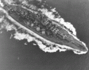 1740697612513.gif