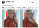 m-chick-follow-thedukewindsor-replying-to-sexuallposts-when-you-notice-ted-cruz-liking-twitter...png