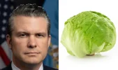 lettuce.webp