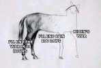 Trump rhetoric.jpeg