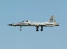 F-5N VMFT-402.webp
