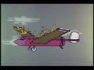 IMG_1952.gif
