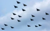 VF-31 & VF-213_2006.webp
