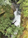 IMG_1835.jpeg