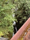 IMG_1834.jpeg
