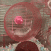 1756079516311.gif