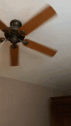 the professional recommendation i received.gif