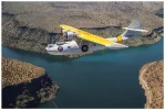 PBY wellow wing.webp