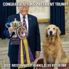 Award - AKC.webp
