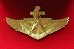 PLA Navy aviator wings.jpg PLA Navy aviator wings.jpg