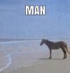 IMG_4851.jpeg