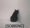 1777951444814.png