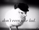 dont-even-joke-lad-8 (1).jpg