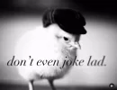 dont-even-joke-lad-8 (1).webp