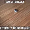 IMG_5435.jpeg