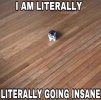 IMG_5435.jpeg