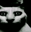 1781284606024.png