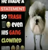 1784230526234.webp