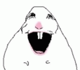 IMG_8711.gif