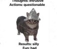 IMG_2972.jpeg