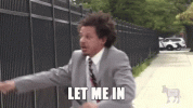IMG_7341.gif