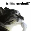 1000042211.webp