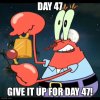IMG_4438.jpeg
