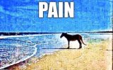 IMG_7395.jpeg