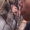 IMG_5821.GIF