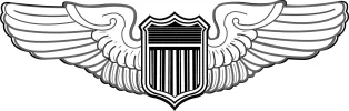 Pilot Wings.webp