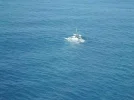 image002.webp