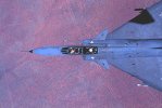 saaf9_copy.jpg