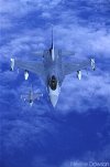 e20f-16l.jpg