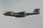 prowler1.jpg