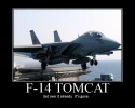 motivator8963792.webp