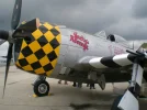 andrews 059_800x600.webp