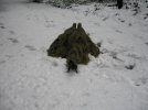 IMG_1256.jpg