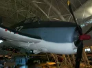 DullesFesters 009_800x600.webp