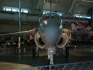 DullesFesters 030_800x600.webp