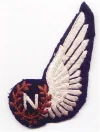 N-Wings-Old.webp
