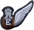E-Wings-New.webp