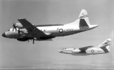 EP-3 and Whale.webp